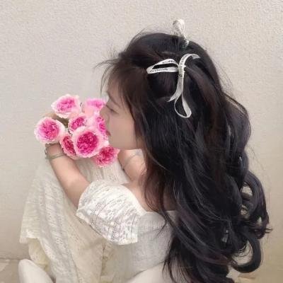 蕾哈娜的抗争 海报